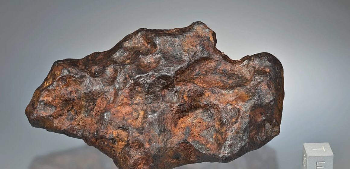 Berner Jura'daki Twannberg göktaşı alanında 2.200'den fazla parça kayıt altına alındı. Berner Jura'da metal dedektörüyle bulunan Twannberg demir göktaşı parçaları