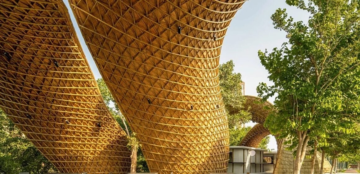 Delhi'deki Ashoka Üniversitesi'nde ağaçların altında bambu ve 3D baskı modüler duvarlarla inşa edilen Hungry Caterpillar gölgelik yapısı