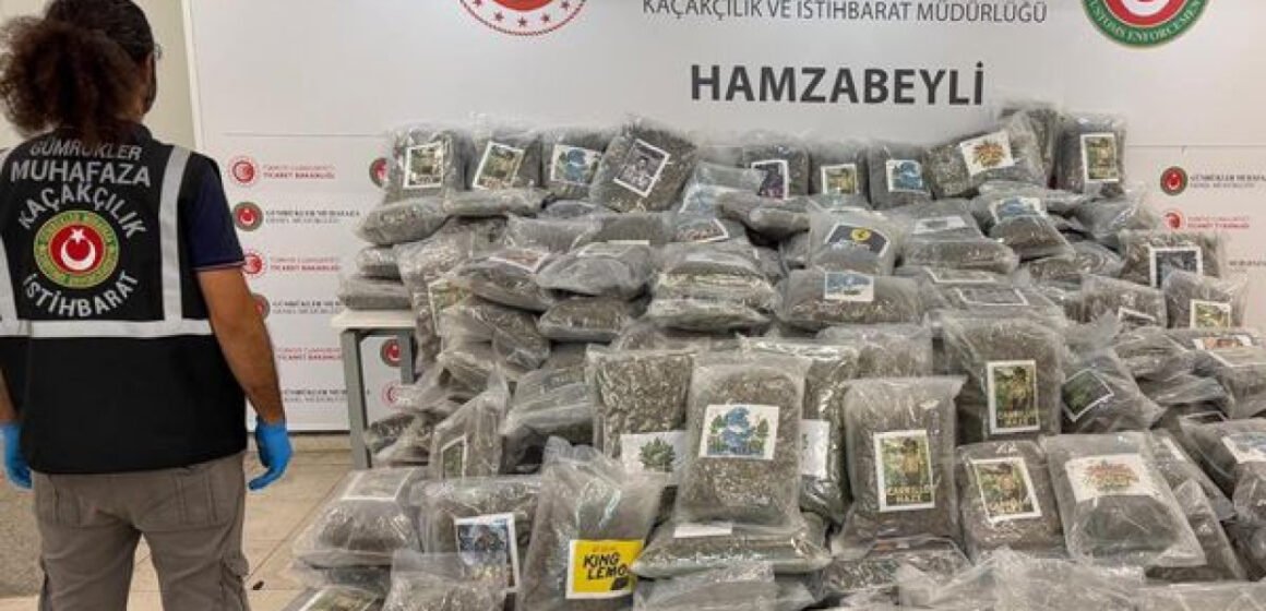 Hamzabeyli Sınır Kapısı'nda TIR'ın aranması sırasında gümrük muhafaza ekiplerinin çalışması