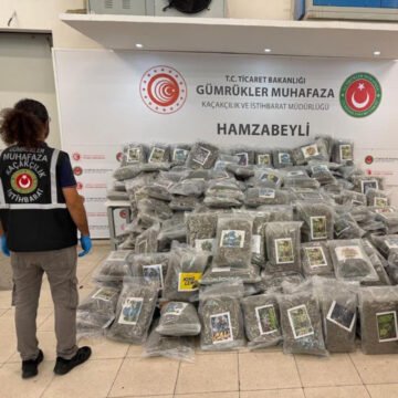 Hamzabeyli Sınır Kapısı'nda gerçekleştirilen aramada 287 kilo 910 gram esrar ele geçirildi Hamzabeyli Sınır Kapısı'nda TIR'ın aranması sırasında gümrük muhafaza ekiplerinin çalışması