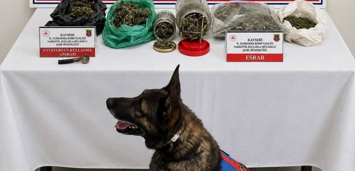 Kayseri Yahyalı'da jandarma ekiplerinin uyuşturucu operasyonu