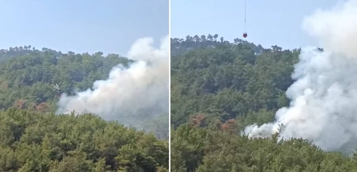 Kozan ilçesinde çıkan yangına çok sayıda ekip sevk edildi. Adana Kozan'da orman yangınına havadan müdahale eden ekipler