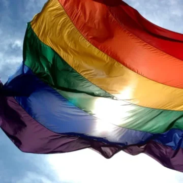 PES, Türkiye'deki operasyonları kınayan açıklamasını sosyal medya hesabından paylaştı. Avrupa Sosyalistleri Partisi'nin Türkiye'deki LGBTİ operasyonlarına ilişkin açıklamasını gösteren görsel