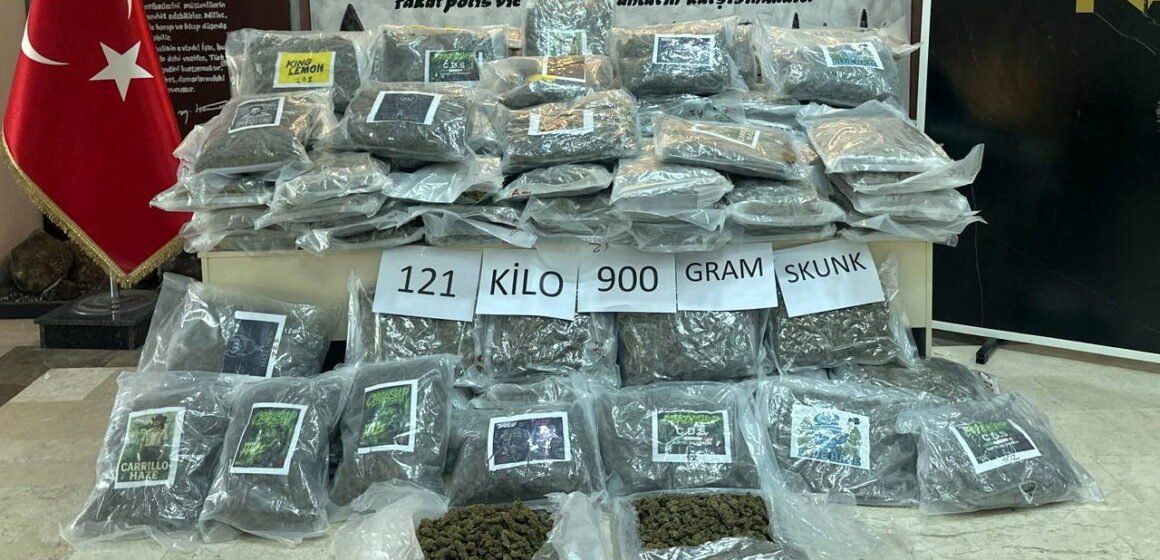 Hamzabeyli Sınır Kapısı'nda TIR dorsesine gizlenmiş skunk ele geçirilmesi