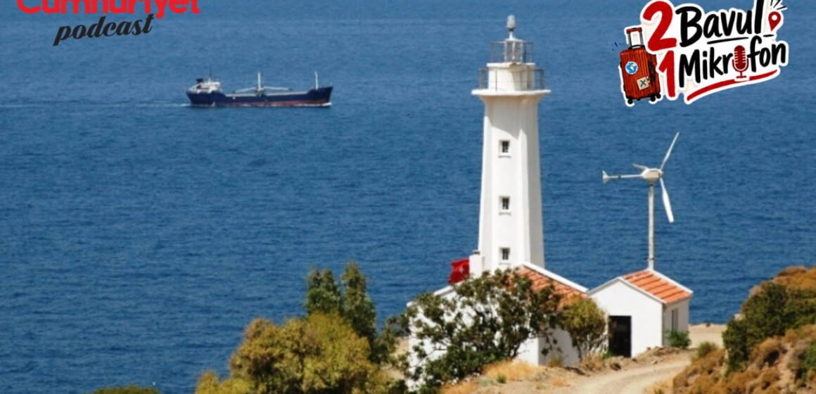 Karaburun'un sessiz koylarından birinde zeytin gölgesi ve turkuaz su. Karaburun yarımadasında zeytin ağaçları arasında turkuaz bir koy