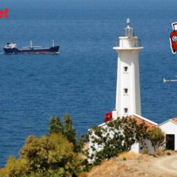 Karaburun'un sessiz koylarından birinde zeytin gölgesi ve turkuaz su. Karaburun yarımadasında zeytin ağaçları arasında turkuaz bir koy