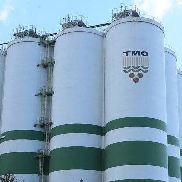 TMO arpa deposunda yemlik arpa stokları