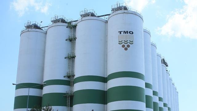 TMO'nun 2026 dönemi arpa satışları kapsamında değerlendirilecek yemlik arpa stokları. TMO arpa deposunda yemlik arpa stokları
